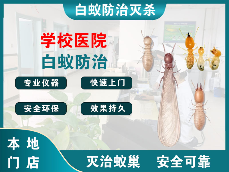 京口学校医院白蚁防治