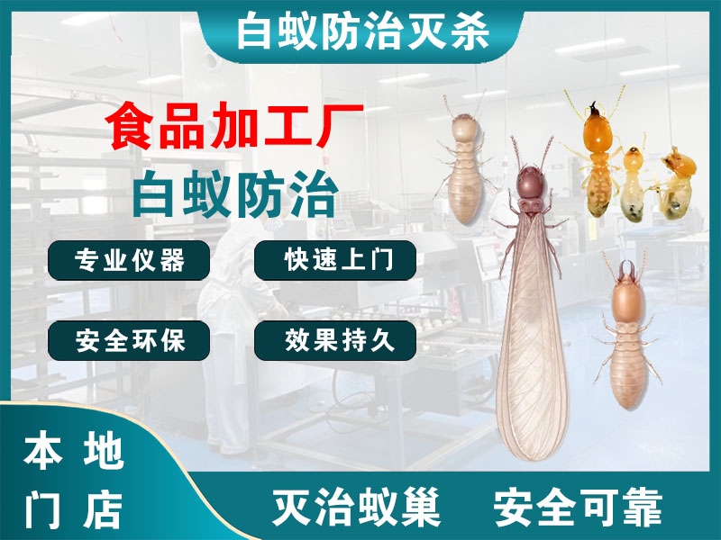 京口食品加工厂白蚁防治