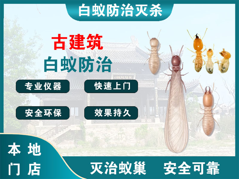 京口古建筑白蚁防治