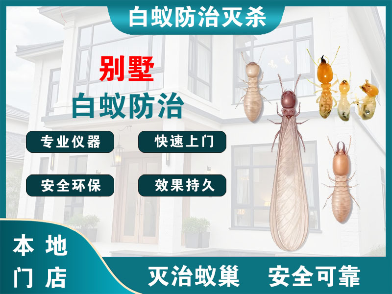 京口别墅白蚁防治